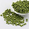 6/0 Baking Paint Glass Seed Beads X-SEED-S003-K9-1
