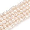 Natural Cultured Freshwater Pearl Beads Strands PEAR-P064-20B-05A-2