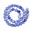Freshwater Shell Beads Strands SHEL-S276-31B-2