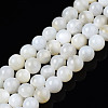Natural Freshwater Shell Beads Strands BSHE-T009A-01A-1