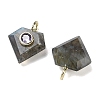 Natural Labradorite Faceted Pendants G-F819-03G-06-2