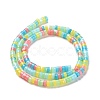Natural Trochid Shell Beads Strands SSHEL-G023-02C-01-2