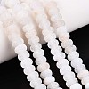 Natural Weathered Agate Beads Strands G-N357-13A-05-1