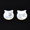 Natural White Shell Beads SSHEL-S258-99B-4