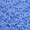 TOHO 6/0 Round Beads X-SEED-TR06-1146-4