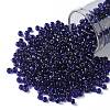 TOHO Round Seed Beads X-SEED-TR08-0743-1