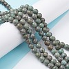 Natural Maifanite/Maifan Stone Beads Strands G-P451-01A-D-2
