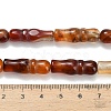 Natural Agate Beads Strands G-Z144-A02-01G-5