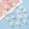 Transparent Acrylic Beads PLF018-01-7