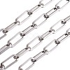 Tarnish Resistant 304 Stainless Steel Paperclip Chains STAS-R100-38-1