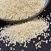 MIYUKI Delica Beads X-SEED-J020-DB0762-1