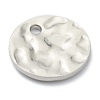 Tarnish Resistant 304 Stainless Steel Charms STAS-H157-03B-P-3