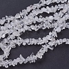 Quartz Crystal Chips Beads Strands X-G-D283-3x5-2-1