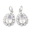 Brass Cubic Zirconia Charms ZIRC-C022-10P-1