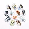 Puppy Photo Flatback Glass Cabochons GGLA-S034-25x18-034-1