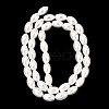 Electroplated Shell Pearl Beads Strands BSHE-C010-02-2
