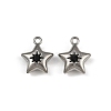 304 Stainless Steel Charms STAS-I342-10P-2