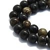 Natural Biotite Beads Strands G-P457-C02-01-2