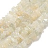 Natural White Moonstone Beads Strands G-P332-01-4