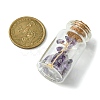 Transparent Glass Wishing Bottle Decoration AJEW-JD00011-03-3