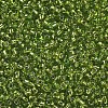 12/0 Glass Seed Beads SEED-US0003-2mm-24-2