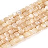 Natural Trochid Shell/Trochus Shell Beads Strands BSHE-T014-52A-02-1