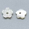 Natural White Shell Beads SSHEL-S260-011-2