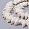 Natural Spiral Shell Beads Strands X-BSHE-I016-07-3