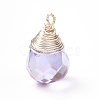 Transparent Glass Charms PALLOY-JF00853-02-2