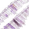 Natural Amethyst Beads Strands G-L551B-08B-1