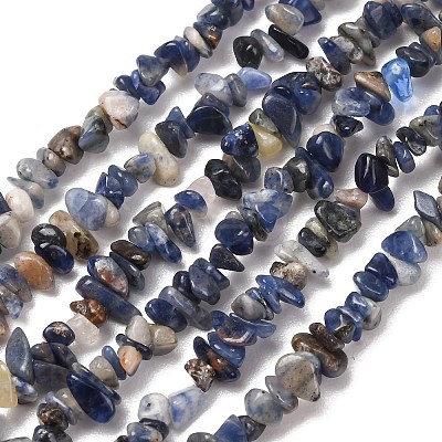Natural Sodalite Chips Beads Strands X-F024-1