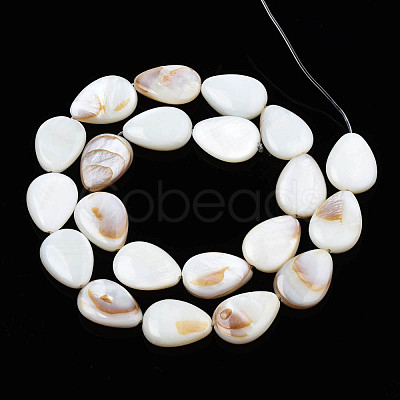 Natural White Shell Beads Strands PBB263Y-1-1