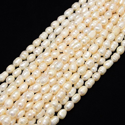 Natural Cultured Freshwater Pearl Beads Strands PEAR-L001-E-20-1