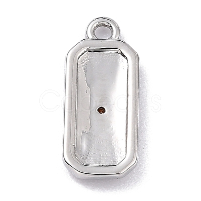 Brass Micro Pave Cubic Zirconia Charms LS-ZIRC-I054-12P-03-1