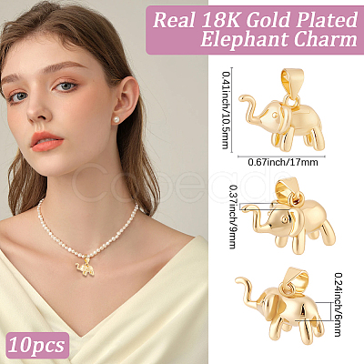 10Pcs Brass Charms KK-BBC0024-88-1