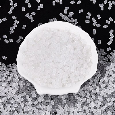 FGB Frosted Transparent Glass Seed Beads SEED-N013-05A-01-1