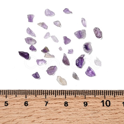 Natural Amethyst Chip Beads G-L453-06-1