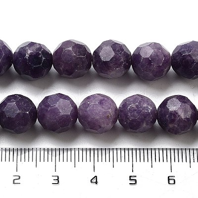 Natural Lepodolite Beads Strands G-C150-B03-02-1