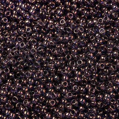MIYUKI Round Rocailles Beads X-SEED-G008-RR1884-1