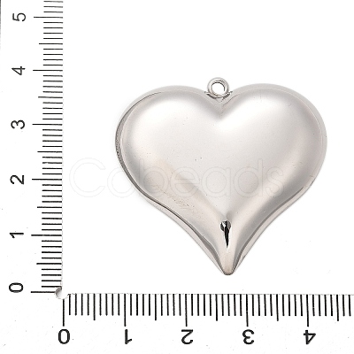 304 Stainless Steel Pendants STAS-Q349-02C-P-1