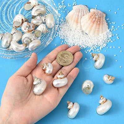 Electroplated Spiral Shell Pendants BSHE-YW0001-07P-1