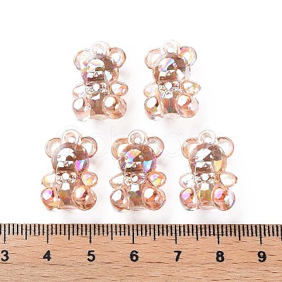 Transparent Acrylic Pendants LS-MACR-S373-113-C06-1