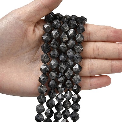 Natural Larvikite Beads Strands G-Z119-A32-03-1
