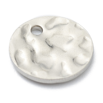 Tarnish Resistant 304 Stainless Steel Charms STAS-H157-03B-P-1