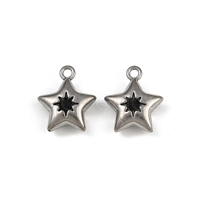 304 Stainless Steel Charms STAS-I342-10P-1