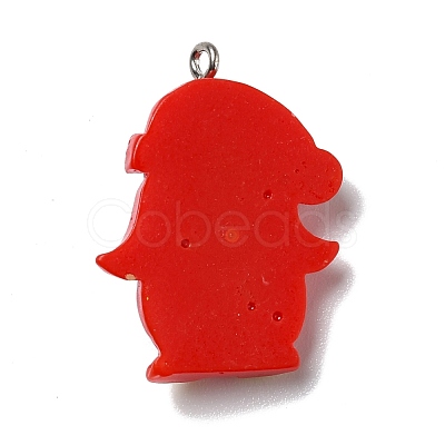 Opaque Resin Pendants RESI-D055-004P-1