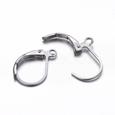 Brass Leverback Earring Findings X-KK-EC223-B-1