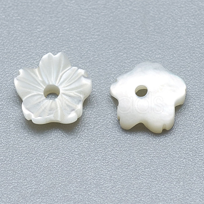 Natural White Shell Beads SSHEL-S260-011-1
