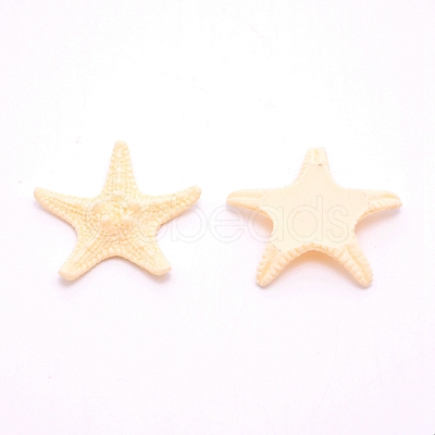 Resin Cabochons RESI-WH0024-64A-1
