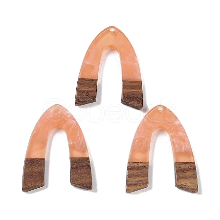 Resin & Wood Pendants WOOD-F015-16E-1